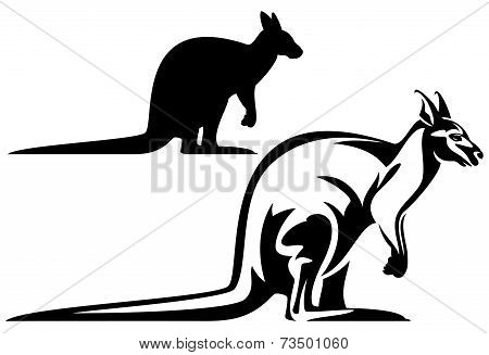 Kangaroo Design