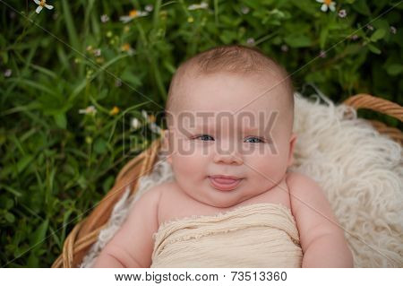 Baby Boy In A Basket In A Field Of Wildflowers
