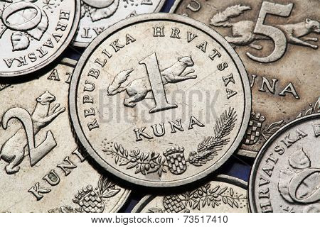 Coins of Croatia. Croatian national coat of arms and marten (Martes martes) depicted in the Croatian one kuna coin.