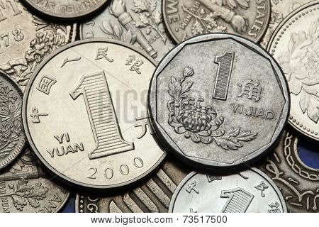 Coins of China. Chrysanthemum flower depicted in the Chinese one Jiao coin and the Chinese one Yuan coin.