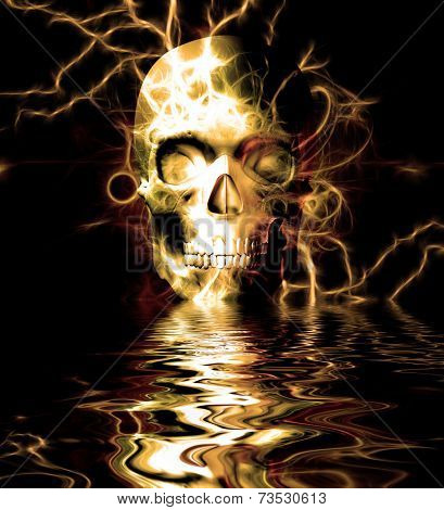 Skull Reflection