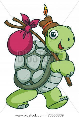 Adventure Turtle Funny Cartoon