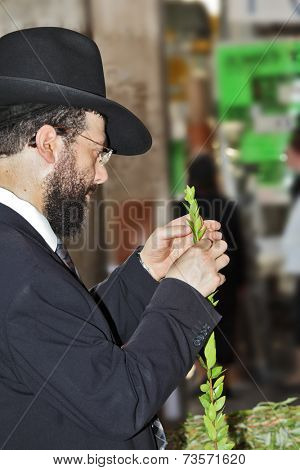 BNEY-BRAK, ISRAEL - SEPTEMBER 17, 2013:  Grand Bazaar on the eve of the Jewish holiday. Handsome young man in a black hat chooses ritual plant - myrtle
