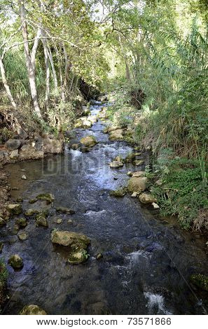 Hermon River At Summer, Israel.