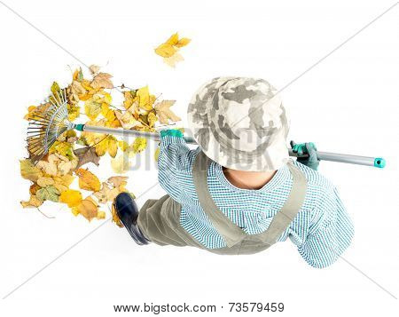 Pile of dead fall leaves being swept by female gardener using fan rake, shot from above on white background