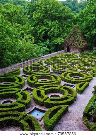 garden green
