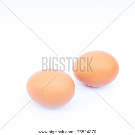 Fresh Egg On White Background