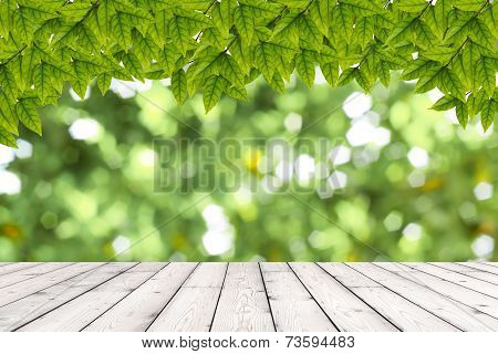 Wood Texture And Natural Green Background
