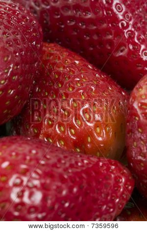 Fragole