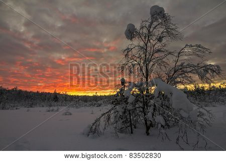Polar Sunset