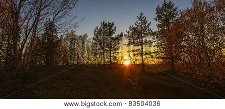 Autumn Sunset In The Forest