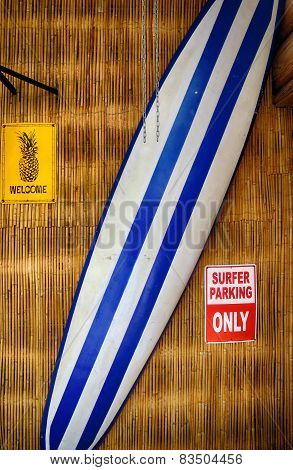 surf board against  bamboo wall