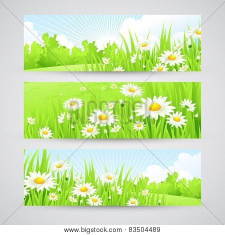 Clean spring amazing scenery. Vector illustration