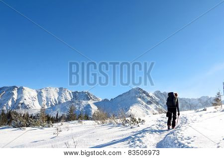 Climber on the snowy mountains