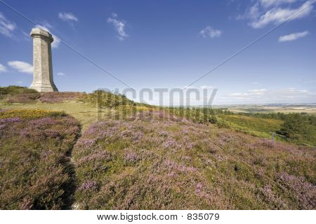 vue depuis le monument de thomas hardy dorset en Angleterre