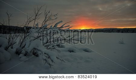 Winter sunrise