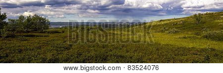 Panorama Blossoming Tundra