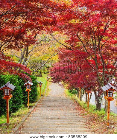 Stairway To Chureito Pagoda In Autumn, Fujiyoshida, Japan