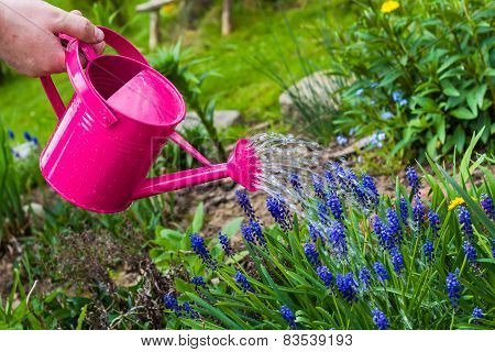 Spring Works Garden Watering Plants Watering Can