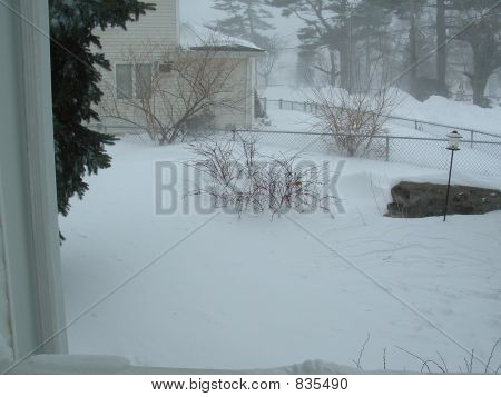 Blizzard Street