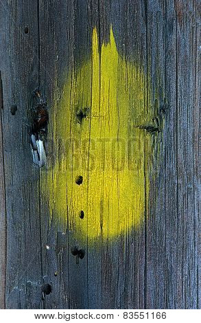 Colored Tree trunk texture