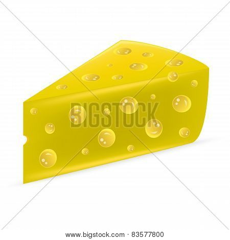 Cheese On A White Background