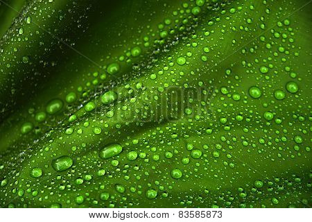 Water Drops Background