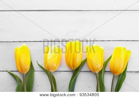 fresh yellow tulips