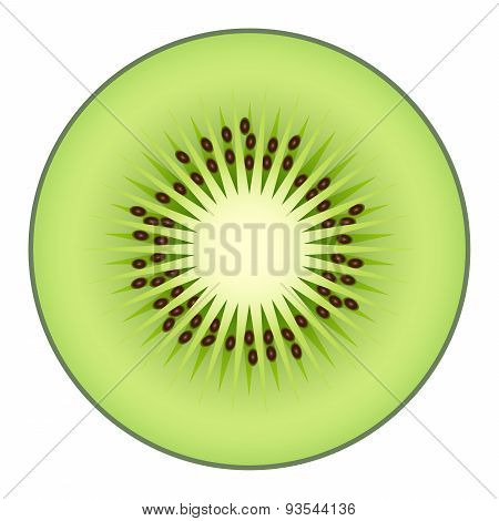 Kiwi fruit isolated on white background