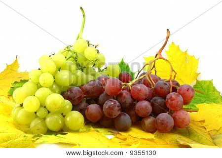 Frutta di autunno