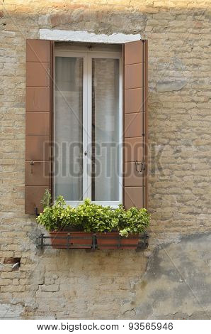 Window With Pots