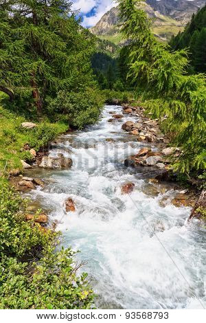 Mountain Stream On Summer