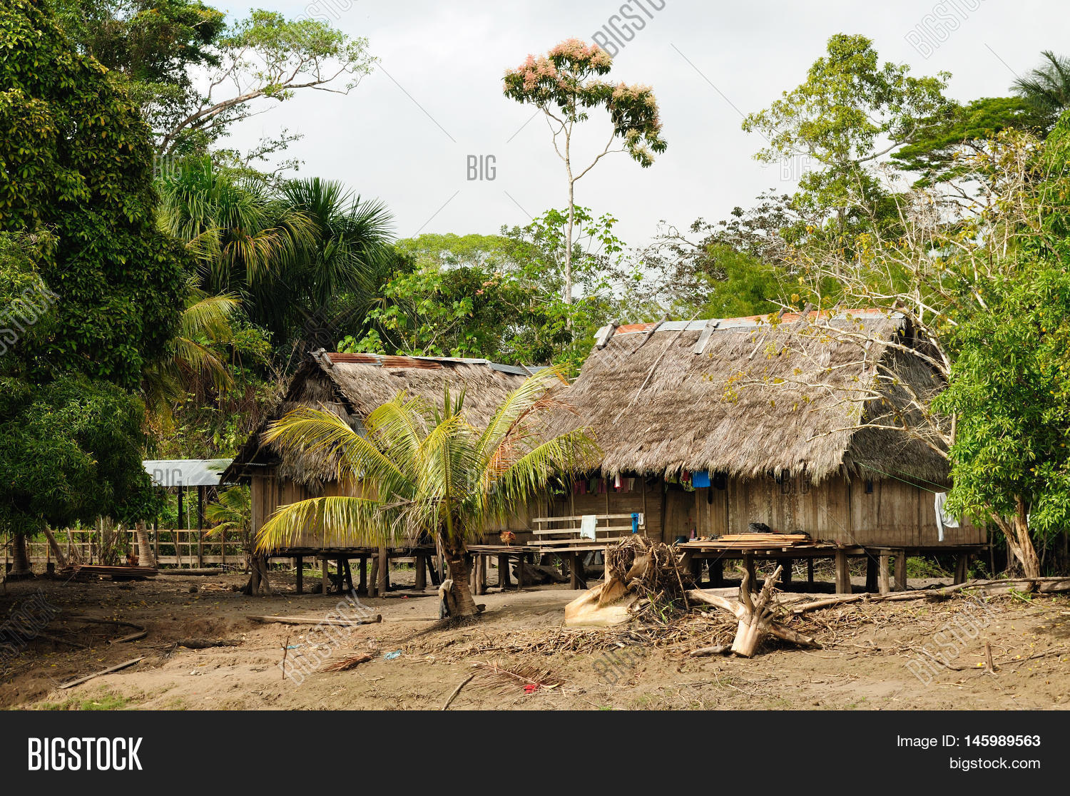 Peru Peruvian Amazonas Image & Photo (Free Trial) Bigstock