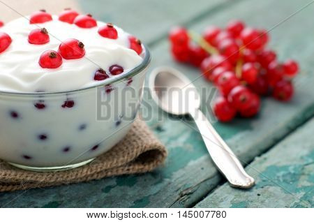 Special dessert with red currants on turquoise wood