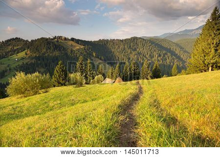 Summer landscape above the village in Moeciu de Sus - Bran, Romania