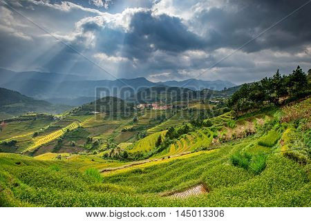 Rice fields in terraced with beautiful curves on high mountain La pan ten Yei bai Veitnam