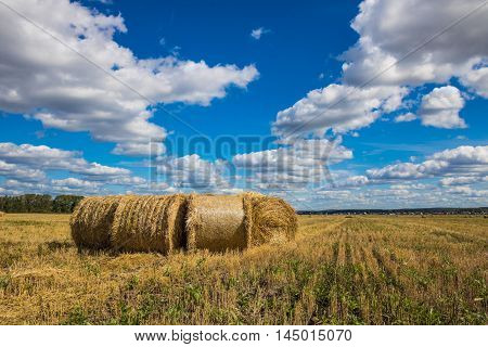 Straw Bales Harvest on Stubble field under blue sky