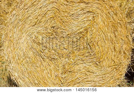 Straw Bales Harvest on Stubble field under blue sky