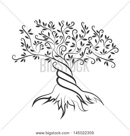 Olive tree outline curl silhouette icon isolated on white background. Web graphics stroke modern vector sign. Premium quality illustration logo design concept pictogram.