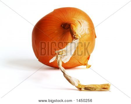 Egy hagymát elszigetelt fehér Background