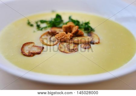 Mushroom soup in a white plate. Tasty food
