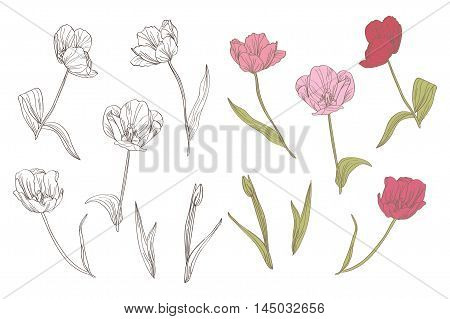 Decorative Flower Set
