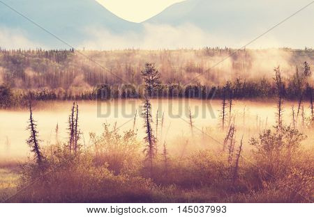 Misty mountains at sunrise