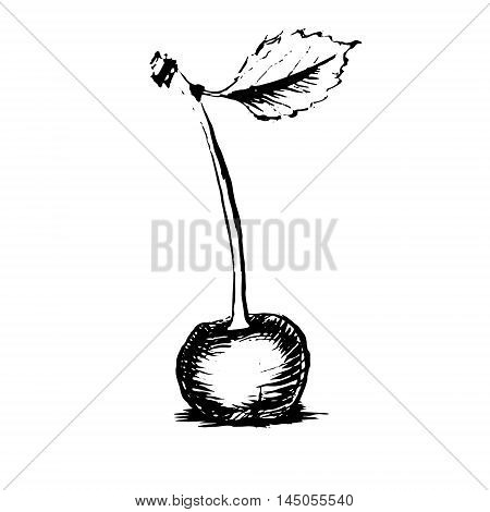 cherry sweet cherry. drawing black and white silhouette graphic icon vector
