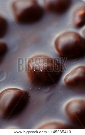 Closeup shot of dark chocolate with nuts. Selective focus.
