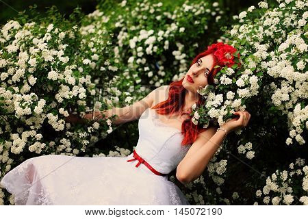 Beautiful girl (25 years old) in white wedding dress on a background of spirea bushes with lots of small white flowers