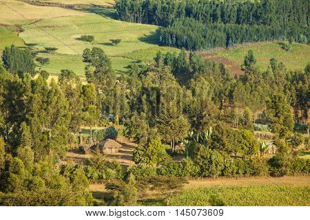 Farm, mountains, and farmhouse in Ethiopia