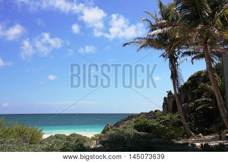 Beach with rocks and palm trees on the Peninsula Yucatan Mexico.