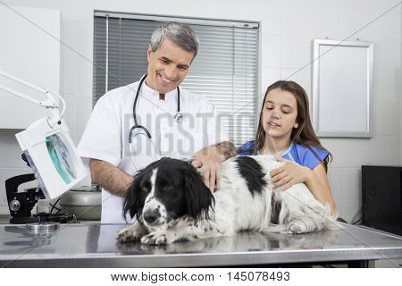 Doctor Checking Border Collie On Table By Girl