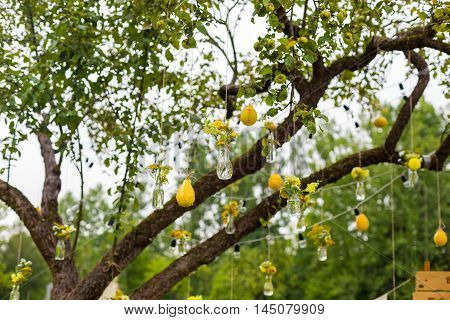 Wedding decorations on the tree peer yellow green